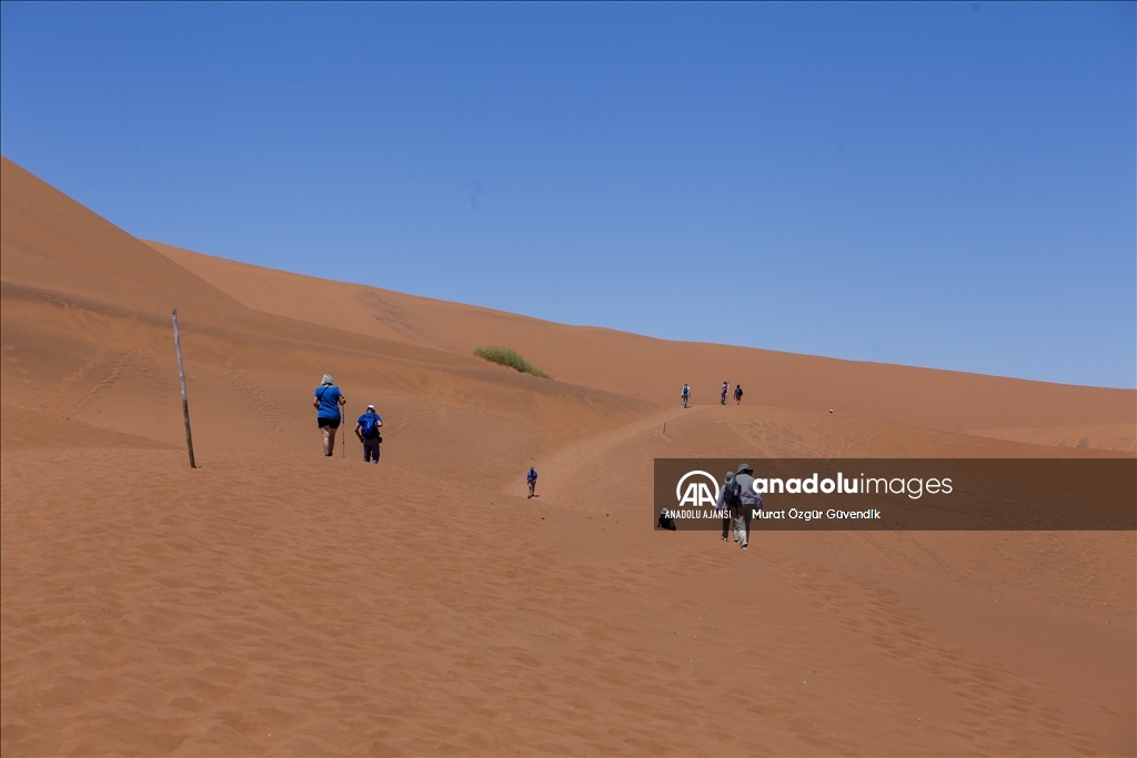 Dünyanın en yaşlı çölüne yolculuk: Namib Çölü