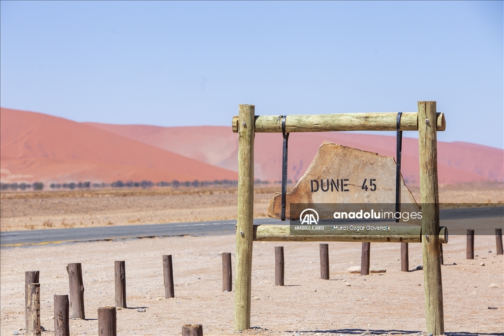 Dünyanın en yaşlı çölüne yolculuk: Namib Çölü