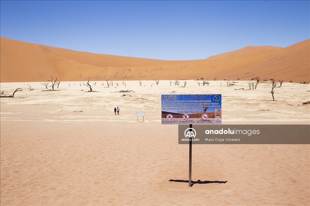 Dünyanın en yaşlı çölüne yolculuk: Namib Çölü