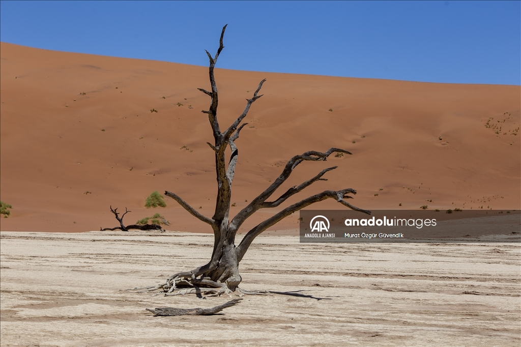 Dünyanın en yaşlı çölüne yolculuk: Namib Çölü