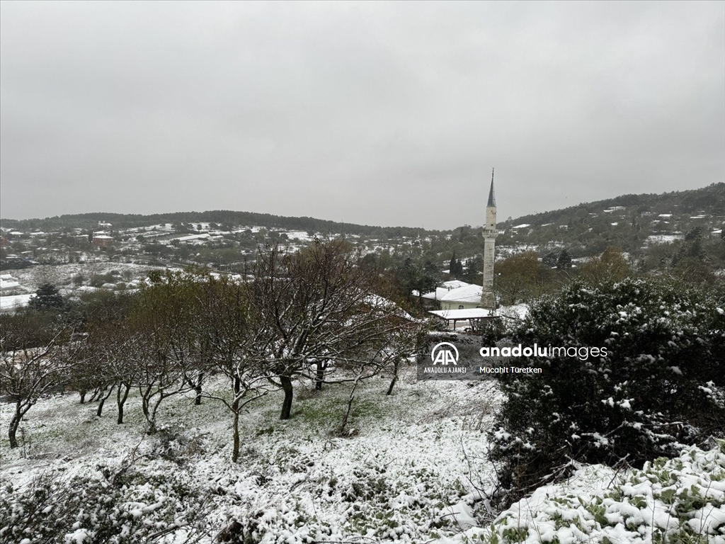 İstanbul'un bazı bölgelerinde kar yağışı etkili oldu