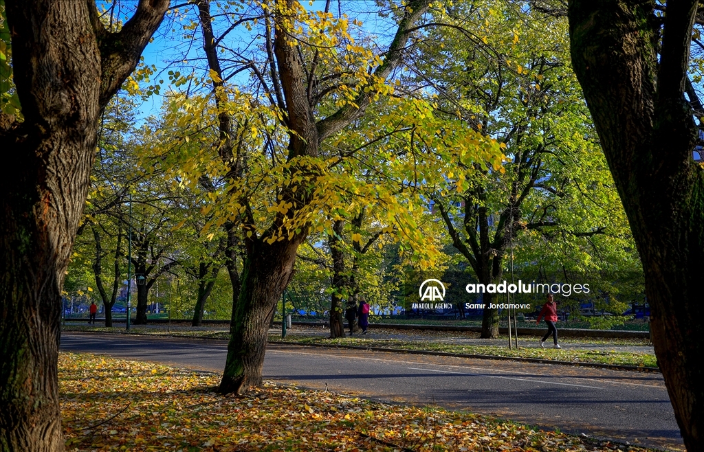Kasna jesen u Sarajevu: Parkovi i ulice u zlatnožutoj boji 
