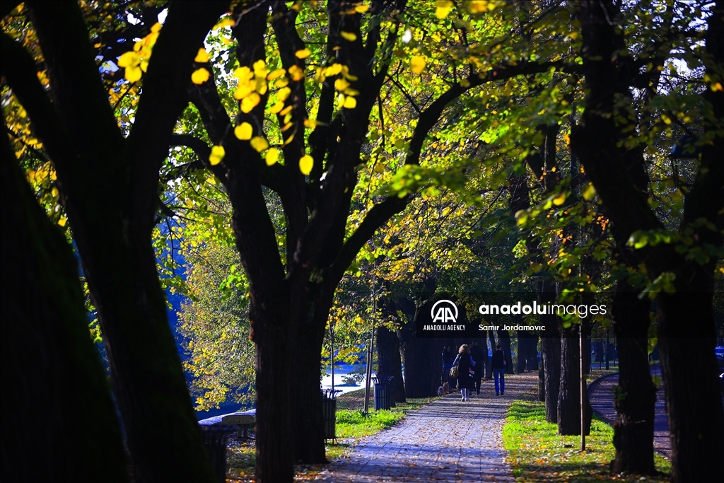 Kasna jesen u Sarajevu: Parkovi i ulice u zlatnožutoj boji 