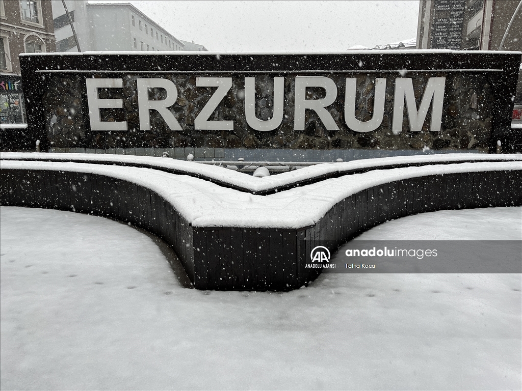Doğu Anadolu'da kar ve soğuk hava etkili oluyor