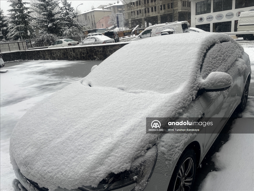 Doğu Anadolu'da kar ve soğuk hava etkili oluyor