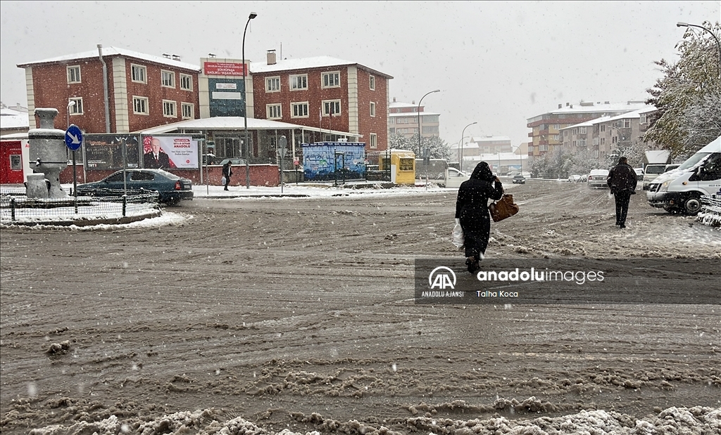 Doğu Anadolu'da kar ve soğuk hava etkili oluyor