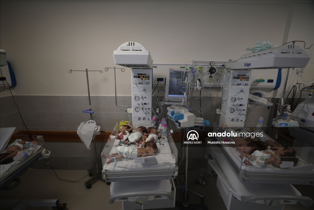 28 premature babies transferred from Emirati Hospital in Gaza to Rafah crossing to be hospitalized in Egypt