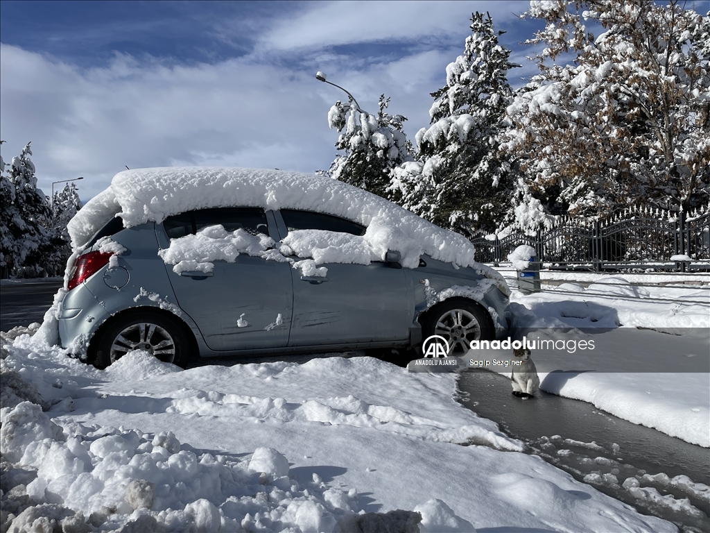 Erzurum, Kars ve Ardahan'da etkili olan kar ve soğuk hava "kara kış"ı aratmıyor