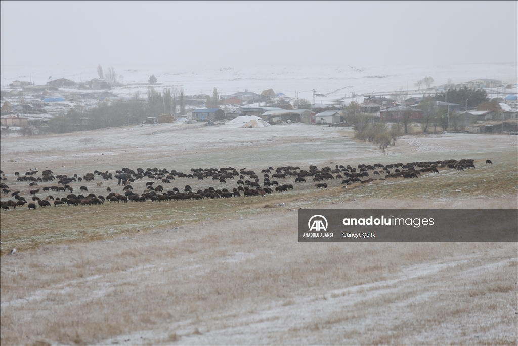 Kars'ta göçerlerin binlerce hayvanla kar yağışı altında zorlu yolculuğu başladı