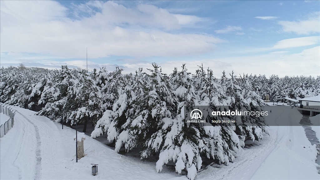 Erzurum, Kars ve Ardahan'da etkili olan kar ve soğuk hava "kara kış"ı aratmıyor