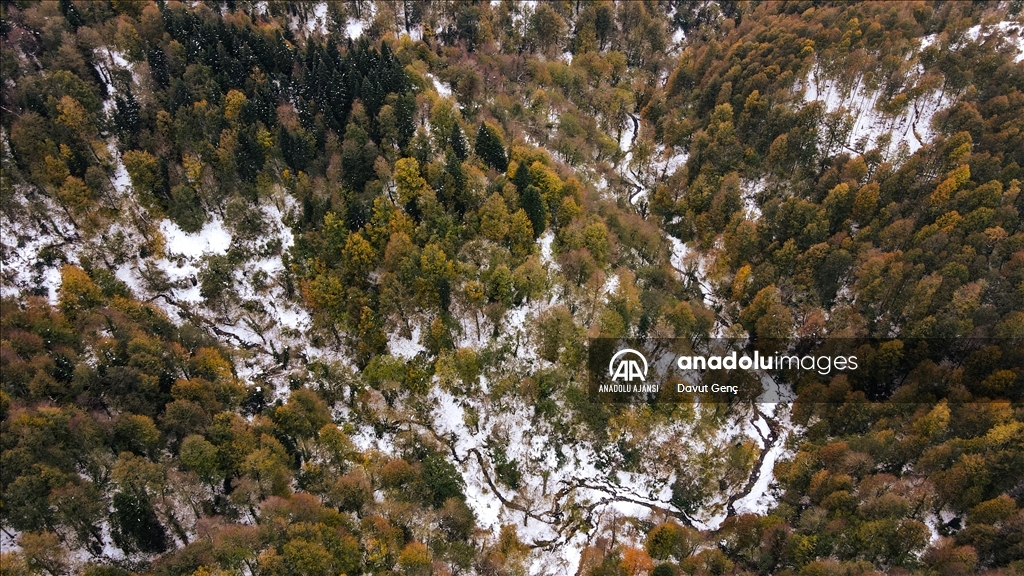 Ağaçları sonbahar renkleriyle süslü Çam Dağı kar yağışının ardından beyaz örtüyle kaplandı