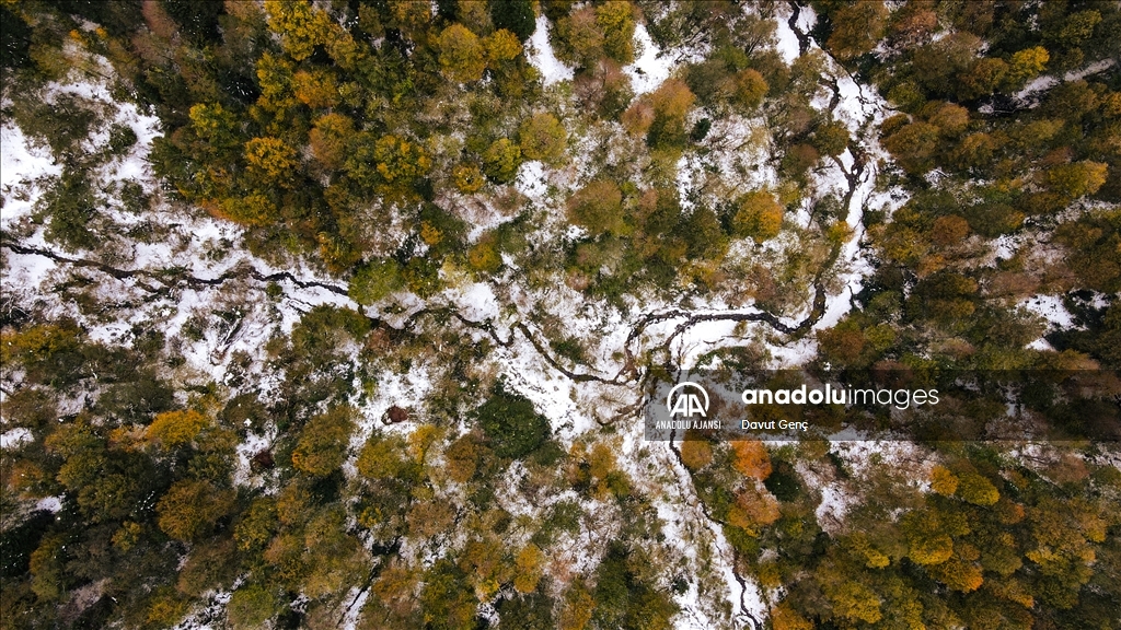 Ağaçları sonbahar renkleriyle süslü Çam Dağı kar yağışının ardından beyaz örtüyle kaplandı