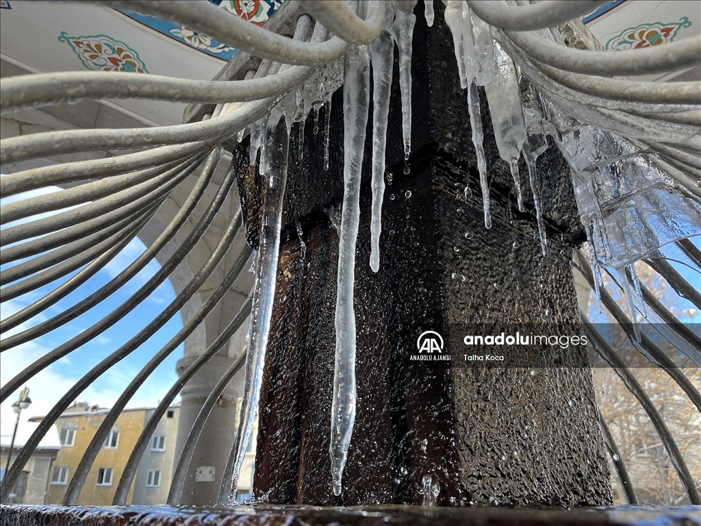 Erzurum'da soğuk hava etkili oluyor