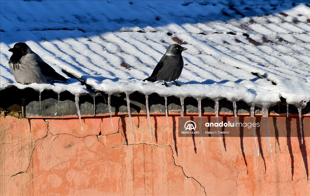 Kars'ta soğuk hava etkili oluyor 