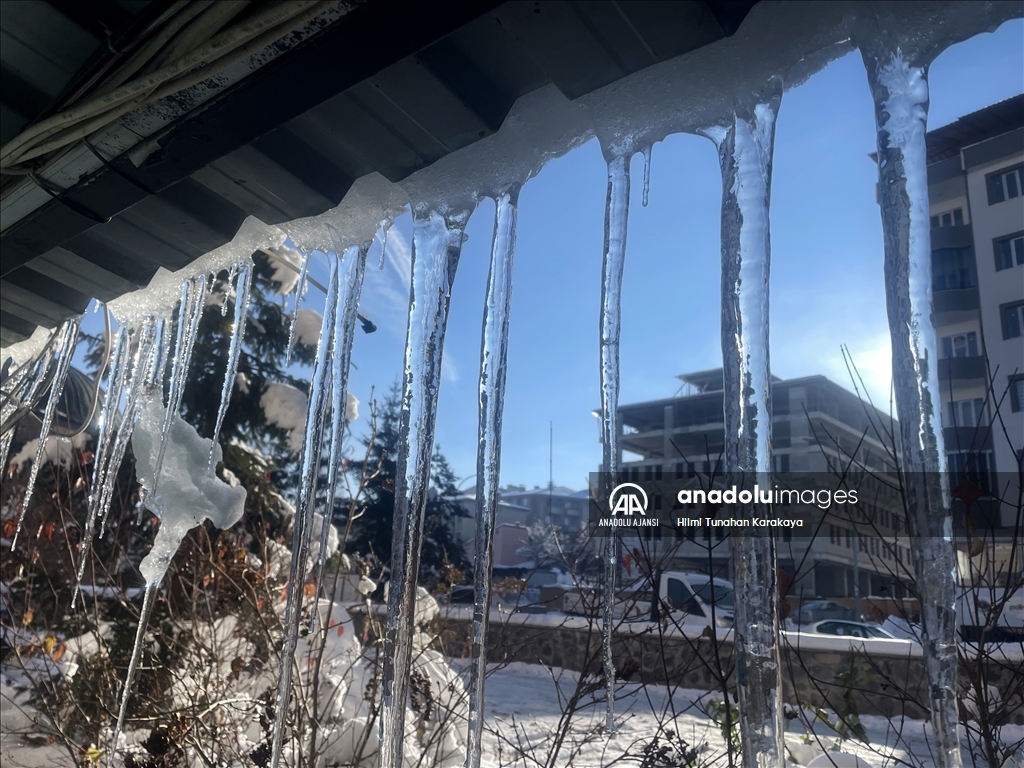 Erzurum'da soğuk hava etkisini sürdürüyor