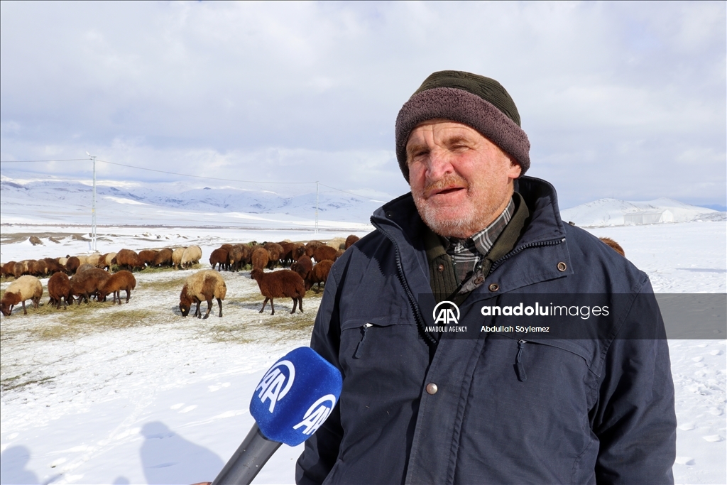 Li Agiriyê alifkirina pez a li ser dirûngeyê îsal zû dest pê kir