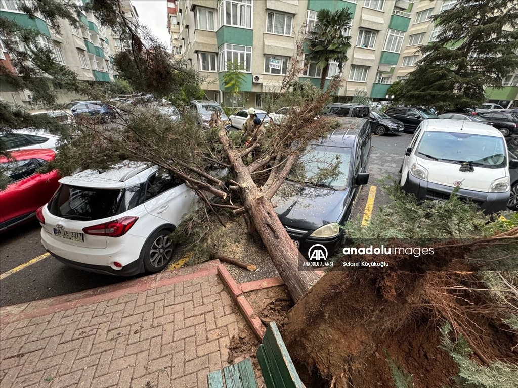 İstanbul'da fırtına hayatı olumsuz etkiledi