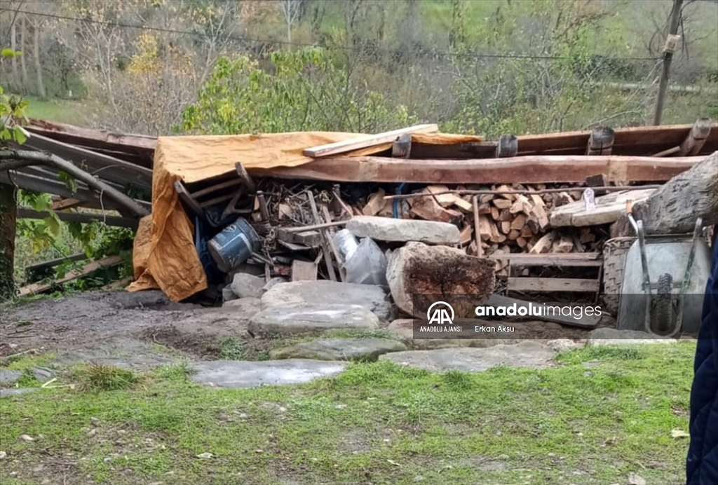 Sinop'ta şiddetli rüzgarda çöken ambarın altında kalan kadın öldü