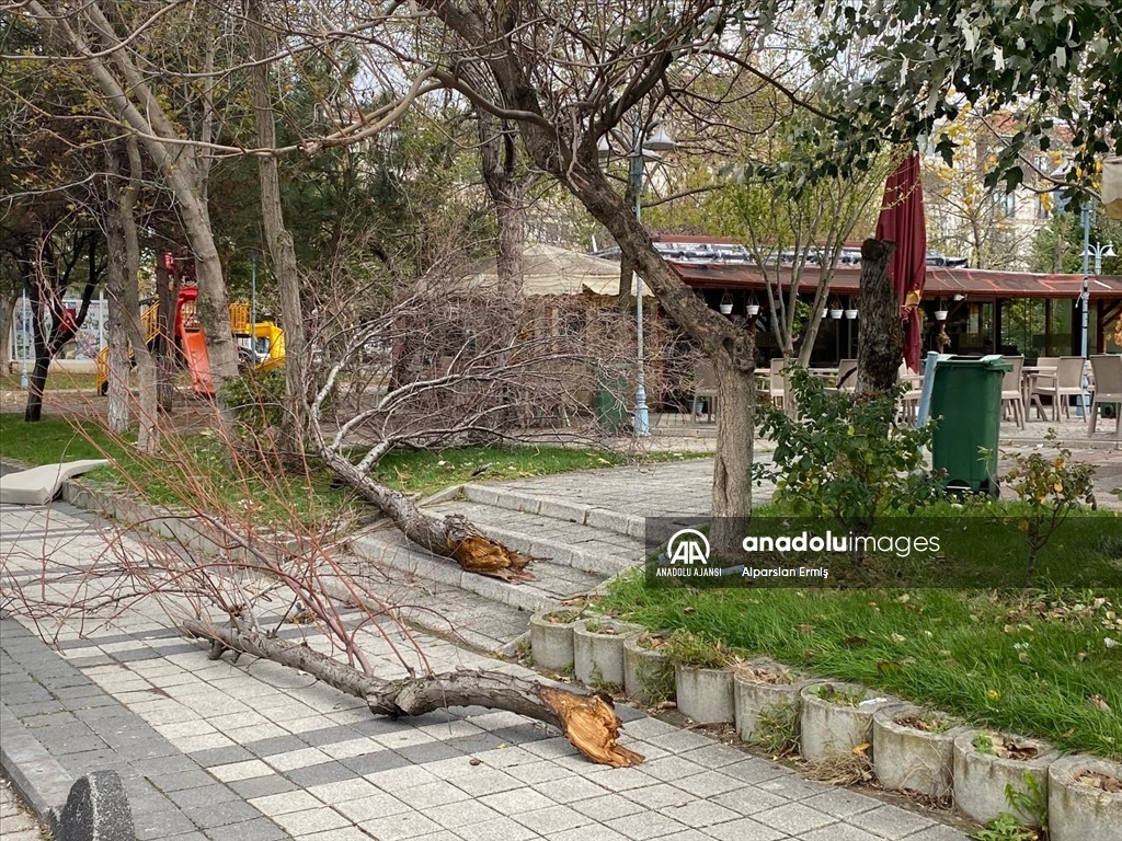 İstanbul'da fırtına hayatı olumsuz etkiledi