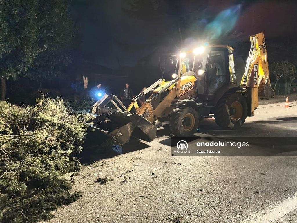 Düzce'de kuvvetli rüzgar etkili oluyor