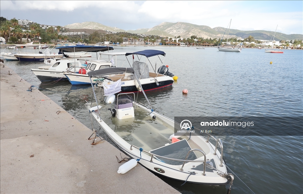 Muğla'da kuvvetli rüzgar ve sağanak yaşamı olumsuz etkiledi
