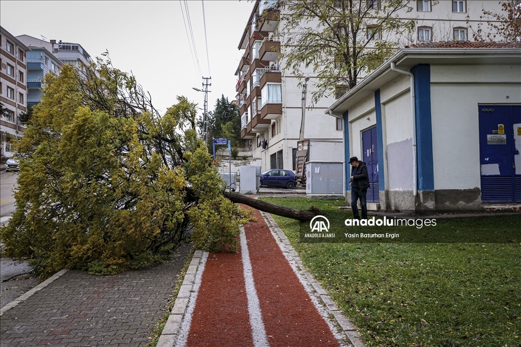 Ankara'da şiddetli rüzgar hayatı olumsuz etkiledi