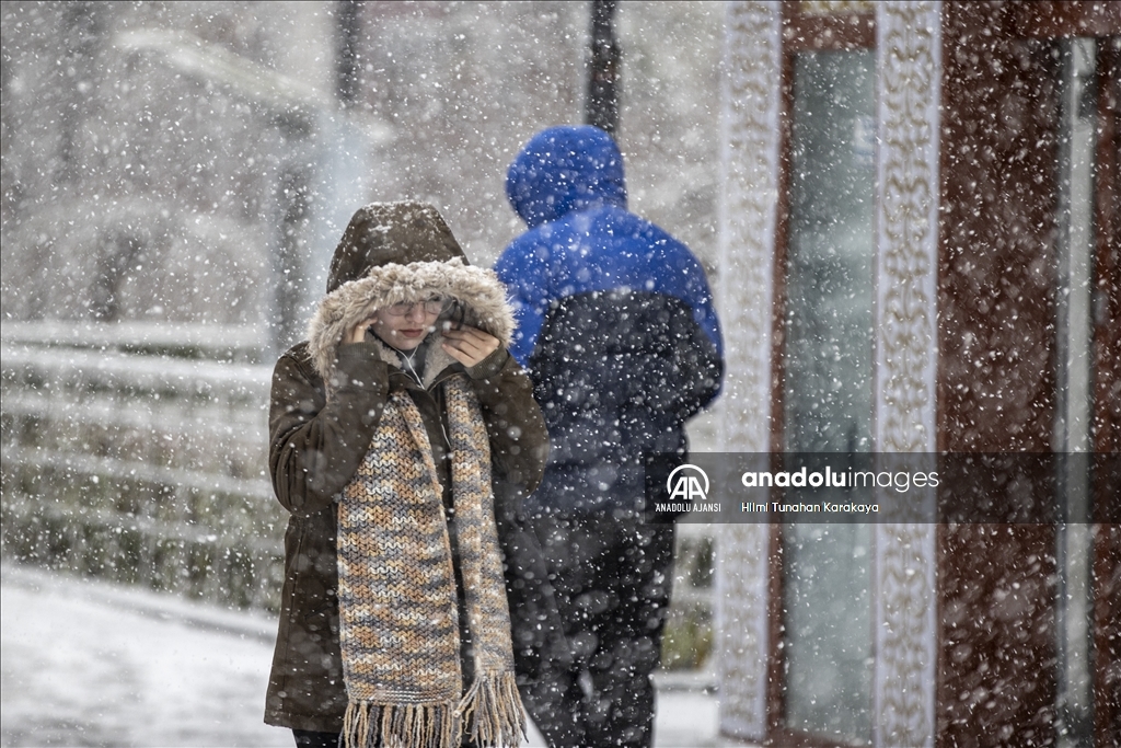Doğu Anadolu'da kar etkili oluyor