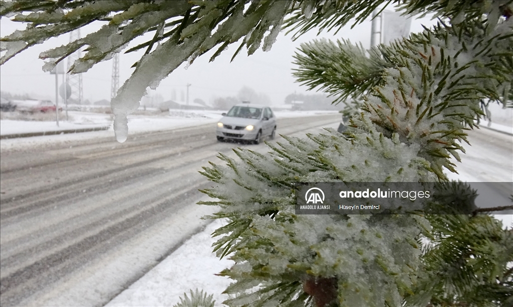 Kars'ta kar yağışı etkili oluyor