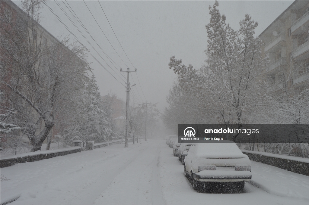 Erzurum'da kar yağışı etkili oldu