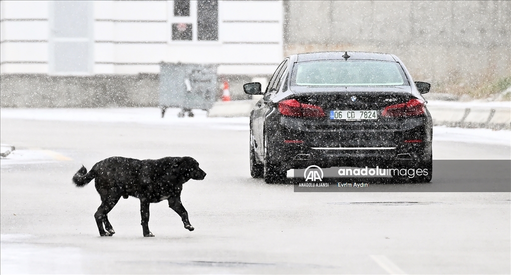 Ankara'da kar