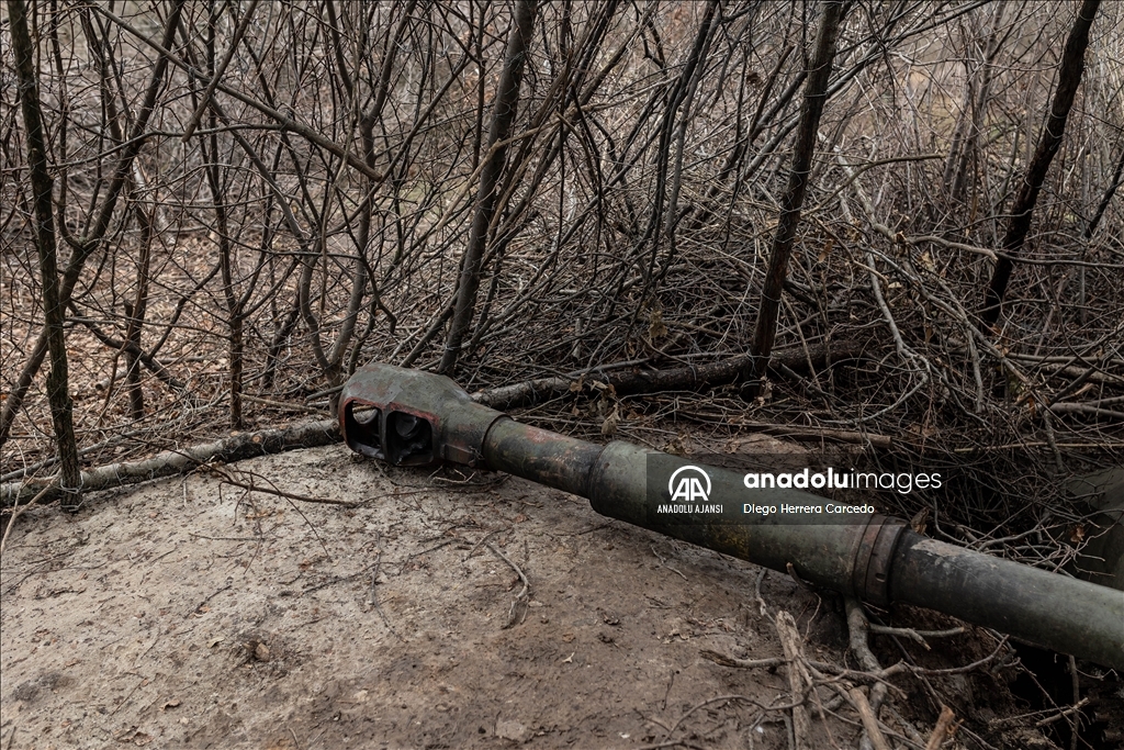 Ukrayna'nın Donetsk Oblastı'nda askeri hareketlilik sürüyor