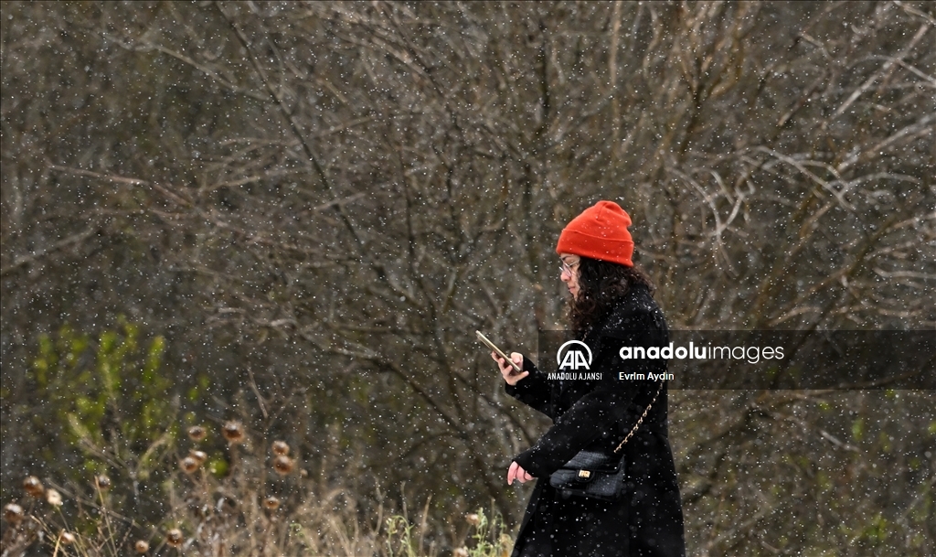 Ankara'da kar