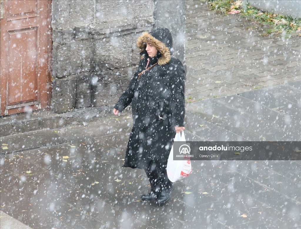 Kars'ta kar yağışı etkili oldu 