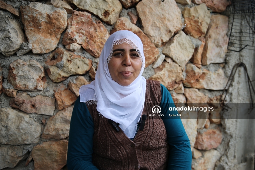 Li Diyarbekirê henarên Karazê yên li ser darên sedsalî hêşîn dibin wê bên nasandin