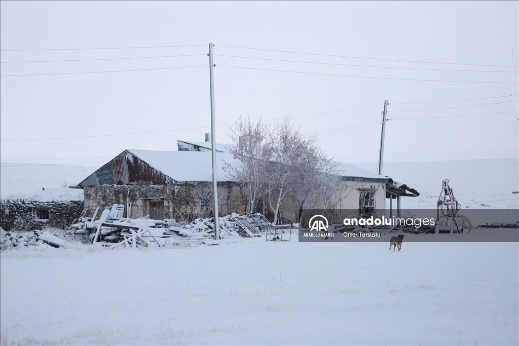 Kars'ta kar yağışı