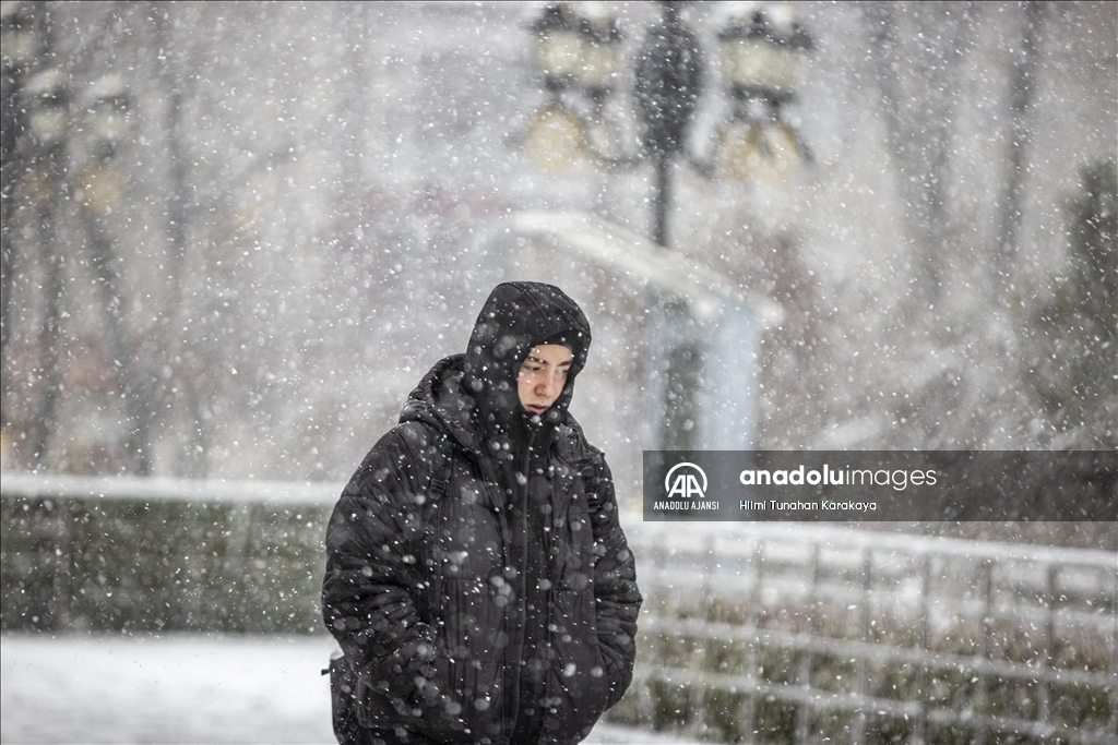 Erzurum'da kar etkili oluyor