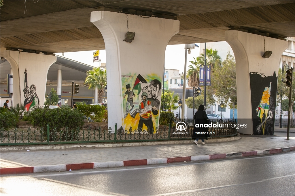 Tunisie : "Zahrouni", une fresque murale immortalise la résistance palestinienne (reportage)