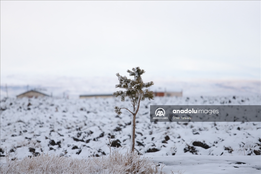 Kars'ta kar yağışı