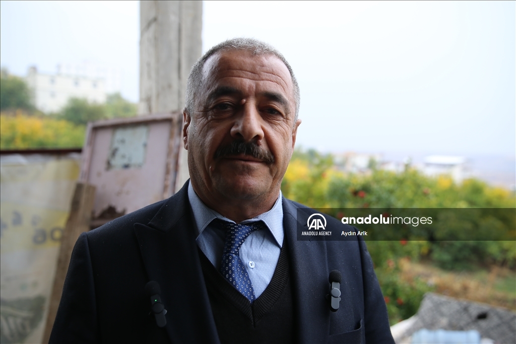 Li Diyarbekirê henarên Karazê yên li ser darên sedsalî hêşîn dibin wê bên nasandin