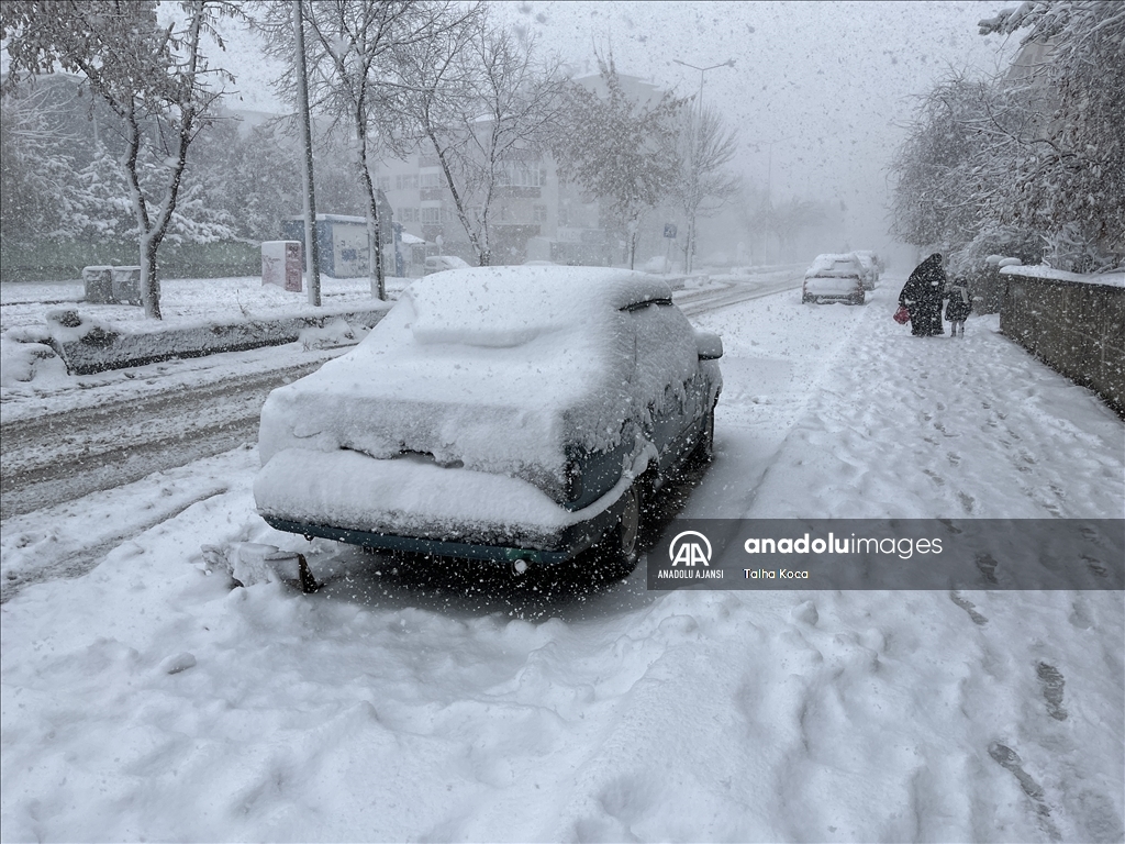Erzurum'da kar yağışı etkili oldu