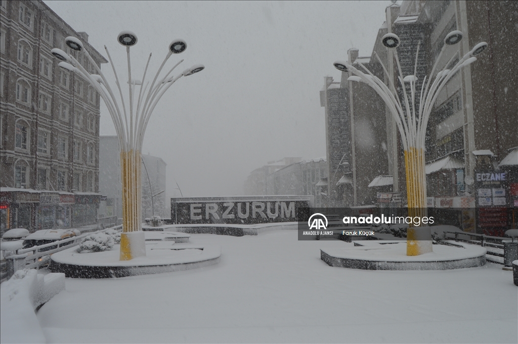 Erzurum'da kar yağışı etkili oldu