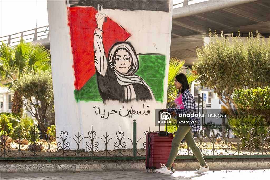 Tunisie : "Zahrouni", une fresque murale immortalise la résistance palestinienne (reportage)