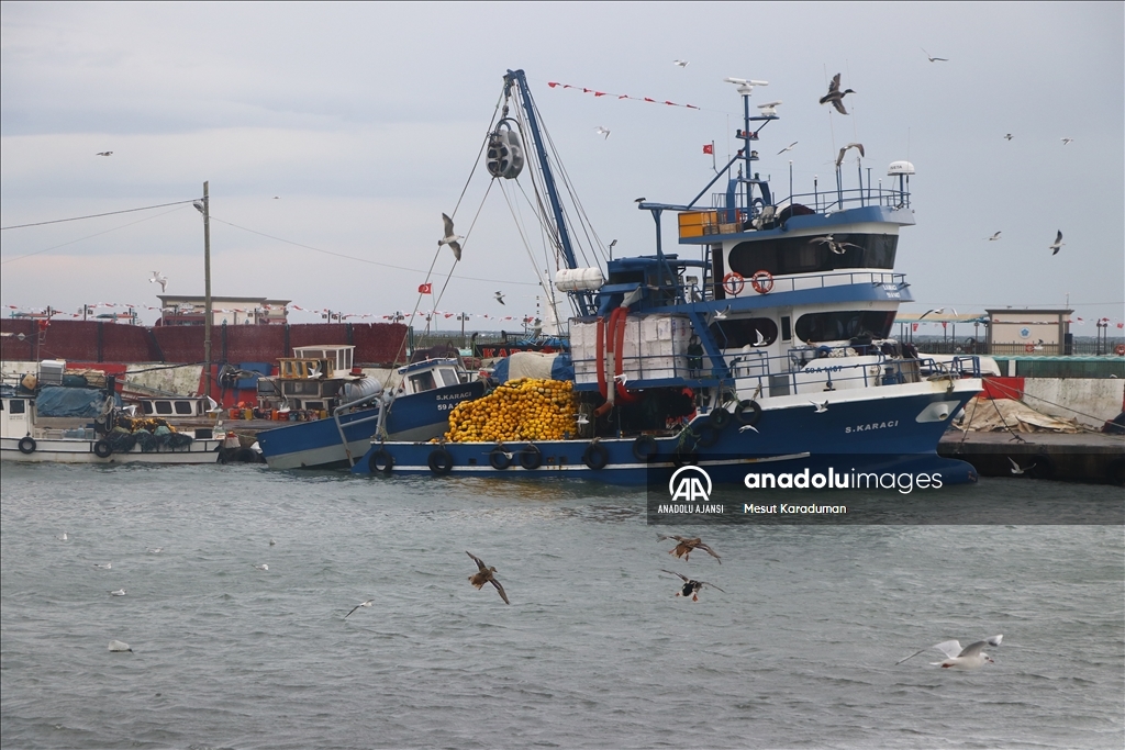 Tekirdağ'da deniz ulaşımına lodos engeli
