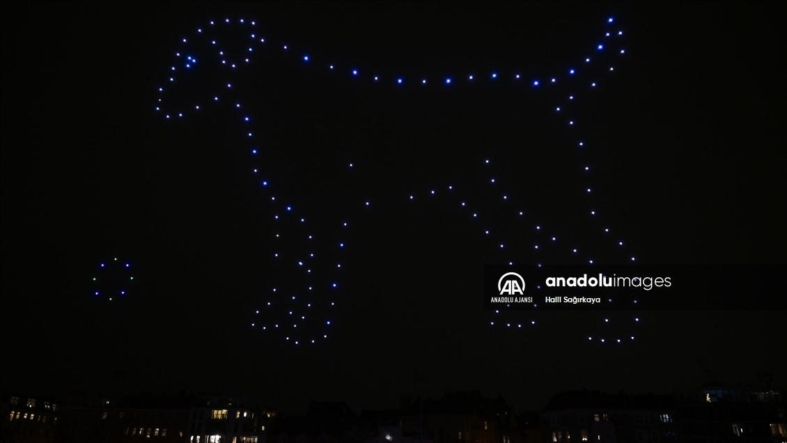 Çevre örgütünden Berlin’de drone gösterisi