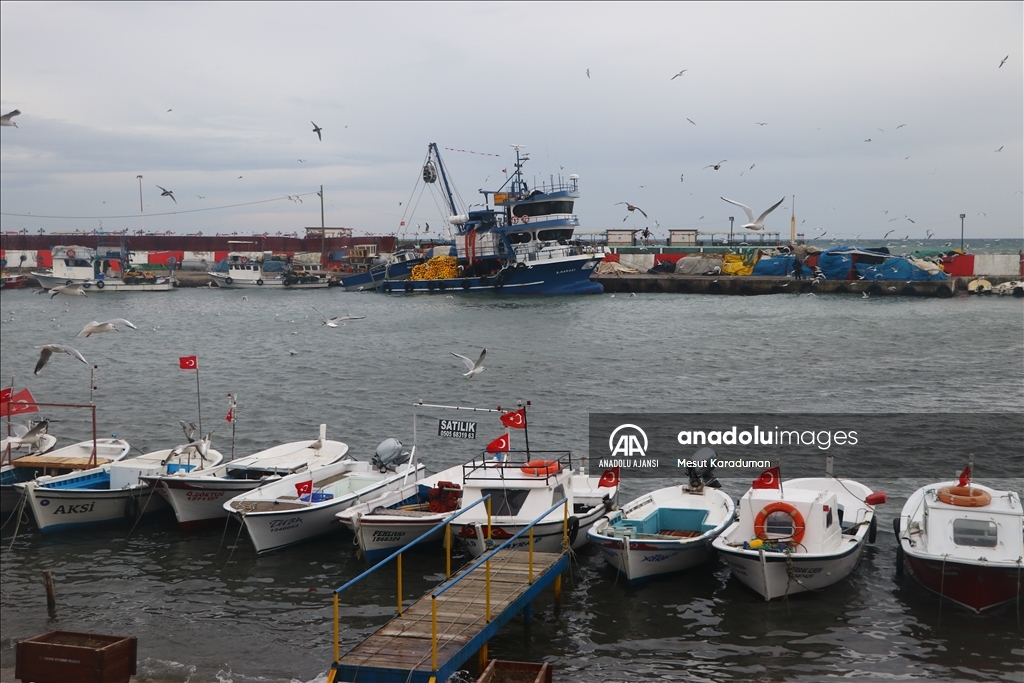 Tekirdağ'da deniz ulaşımına lodos engeli