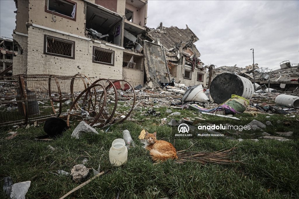 İsrail'in Gazze'ye saldırılarında yerle bir olan toplu konut sitesindeki yıkım görüntülendi