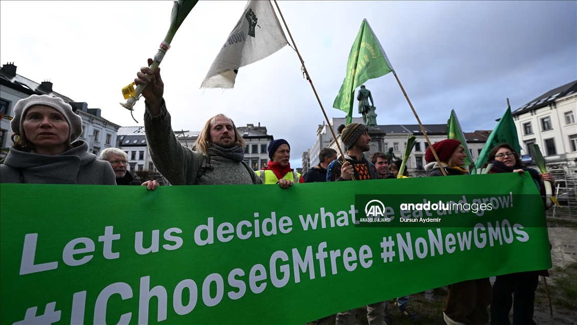 Belçikalı ve Hollandalı çiftçiler,  GDO tasarısını protesto etti
