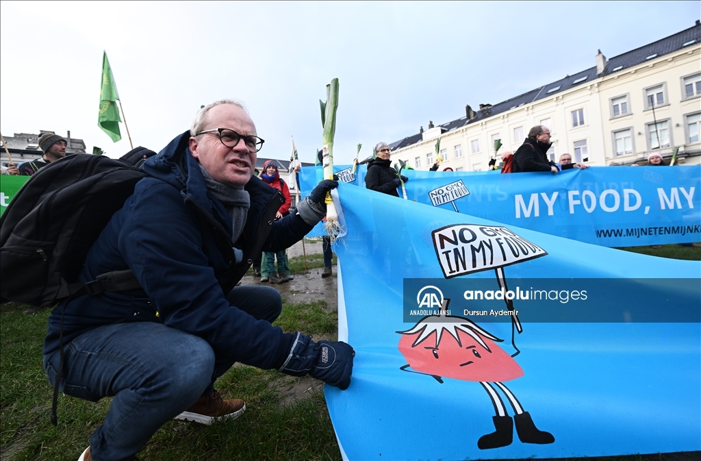 Belçikalı ve Hollandalı çiftçiler,  GDO tasarısını protesto etti