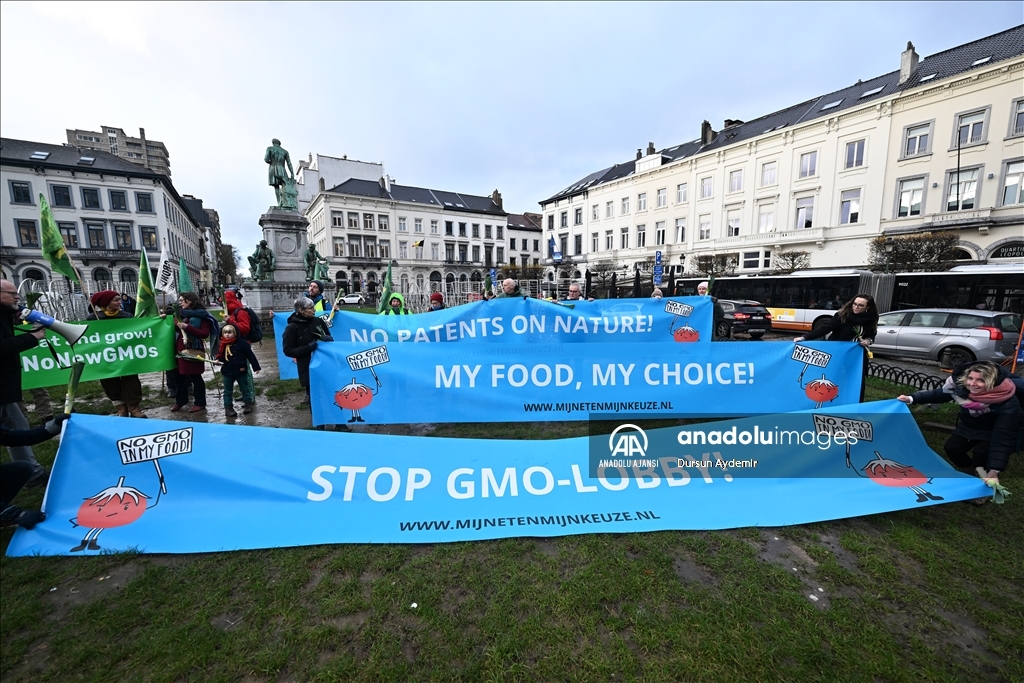 Belçikalı ve Hollandalı çiftçiler,  GDO tasarısını protesto etti