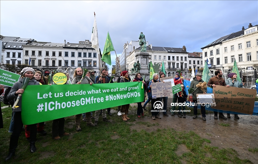 Belçikalı ve Hollandalı çiftçiler,  GDO tasarısını protesto etti